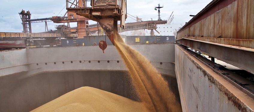 A exportação de grãos no Porto de Paranaguá. (Foto Arquivo Administração dos Portos de Paranaguá e Antonina / Fabio Scremin)