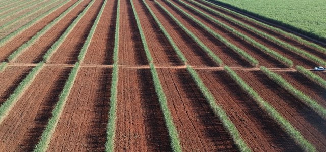 Empresas consolidam importante parceria para investigar a biologia do solo para melhoria da produção de cana-de-açúcar